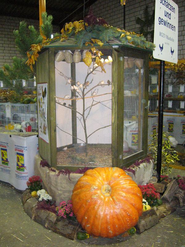 Mastholte 2008 037.jpg - Rassegeflügelschau Mastholte 2008